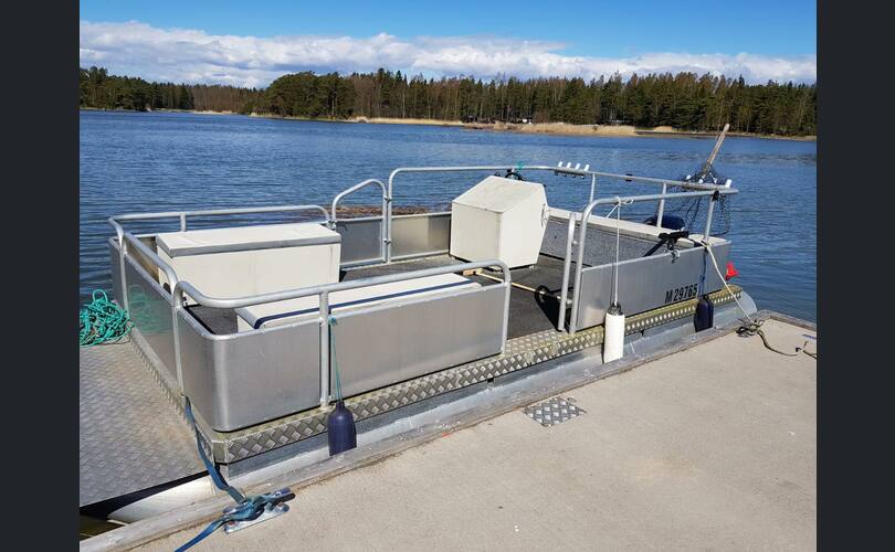 Muu merkki Mercury-kuva-6